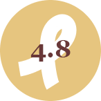Rated 4.8 on Google